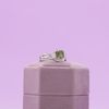 Steven's Engagement Ring 5