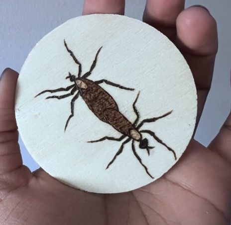 Handmade Insect Wood Work by Dante's Garden | CustomMade.com