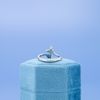 Lisa's Engagement Ring 2