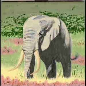 Custom Made African Wildlife Tiles