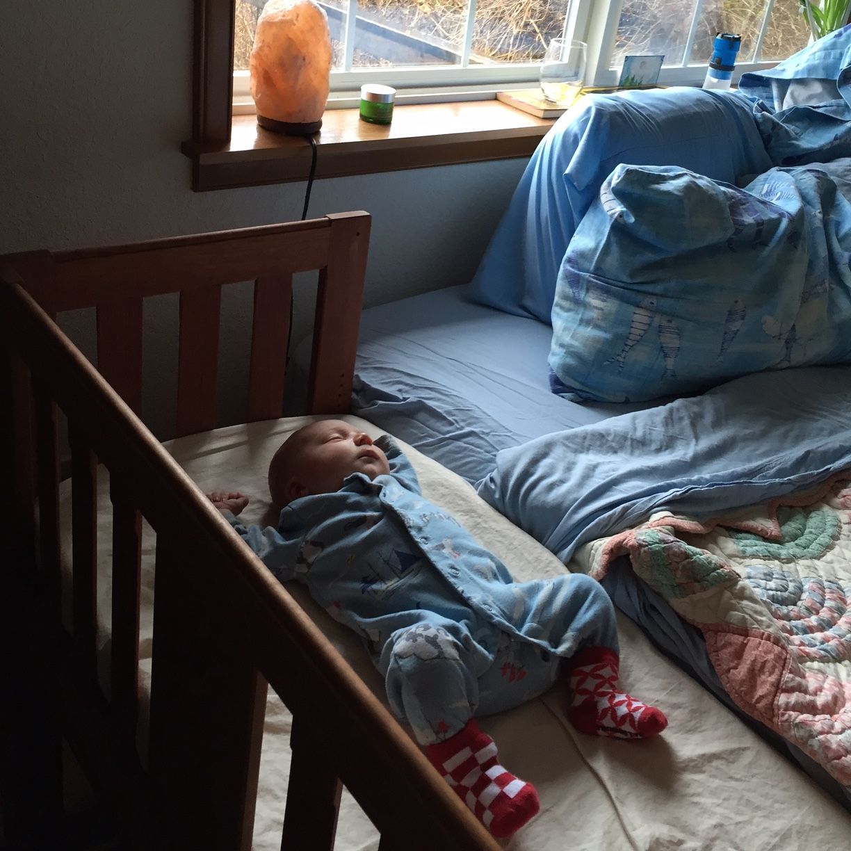 Buy Hand Crafted Sidecar Style Baby Bed Attaches To Your Adult Bed