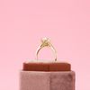 Nida's Engagement Ring 1
