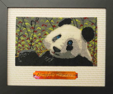 Custom Made Giant Panda Animal Portrait