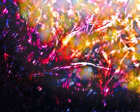 Custom Made Digital Paintings