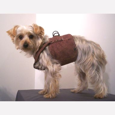 Custom Made Dog Coat And Harness