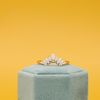 Krizia's Wedding Band 3