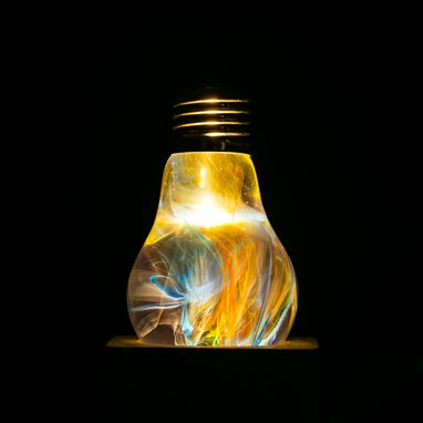 Custom Made Ep Light Handmade Art Fixtures Light, Table Lamp, Led Lightings - Firework