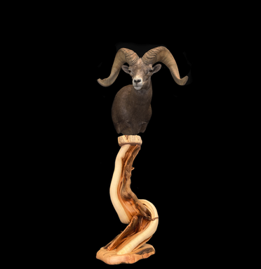 Custom Made Single Head Twisted Juniper Pedestal