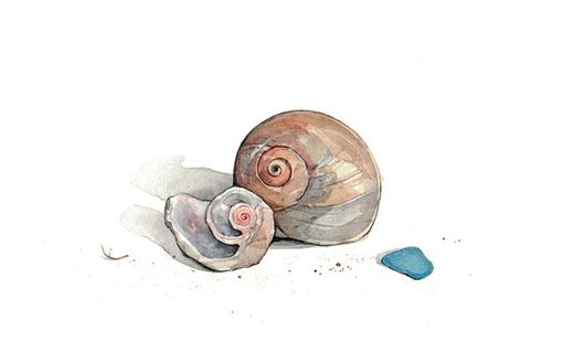 Custom Made Sea Shells Watercolor Painting