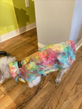 Custom Made Doggy Wear Clothing For Dog