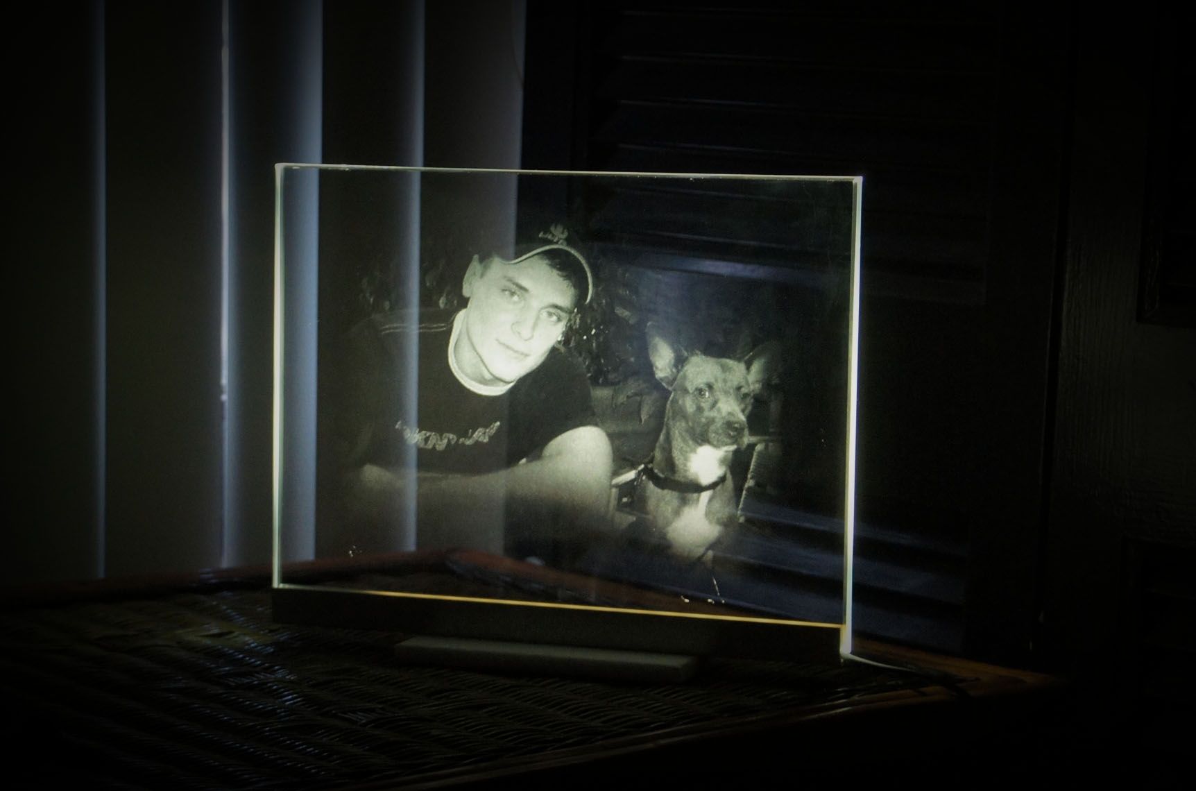 Custom Pet Portrait Led Illuminated Glass Etching Night Display / Lamp (Any Image) by Glassarium