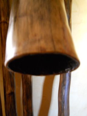 Custom Made Agave Didgeridoo Didjeridu