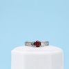 Roz's Ring 2
