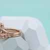 Jeremy's Engagement Ring 5