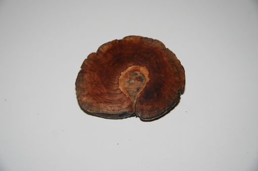 Custom Made Wooden Brooch Large Natural Unique