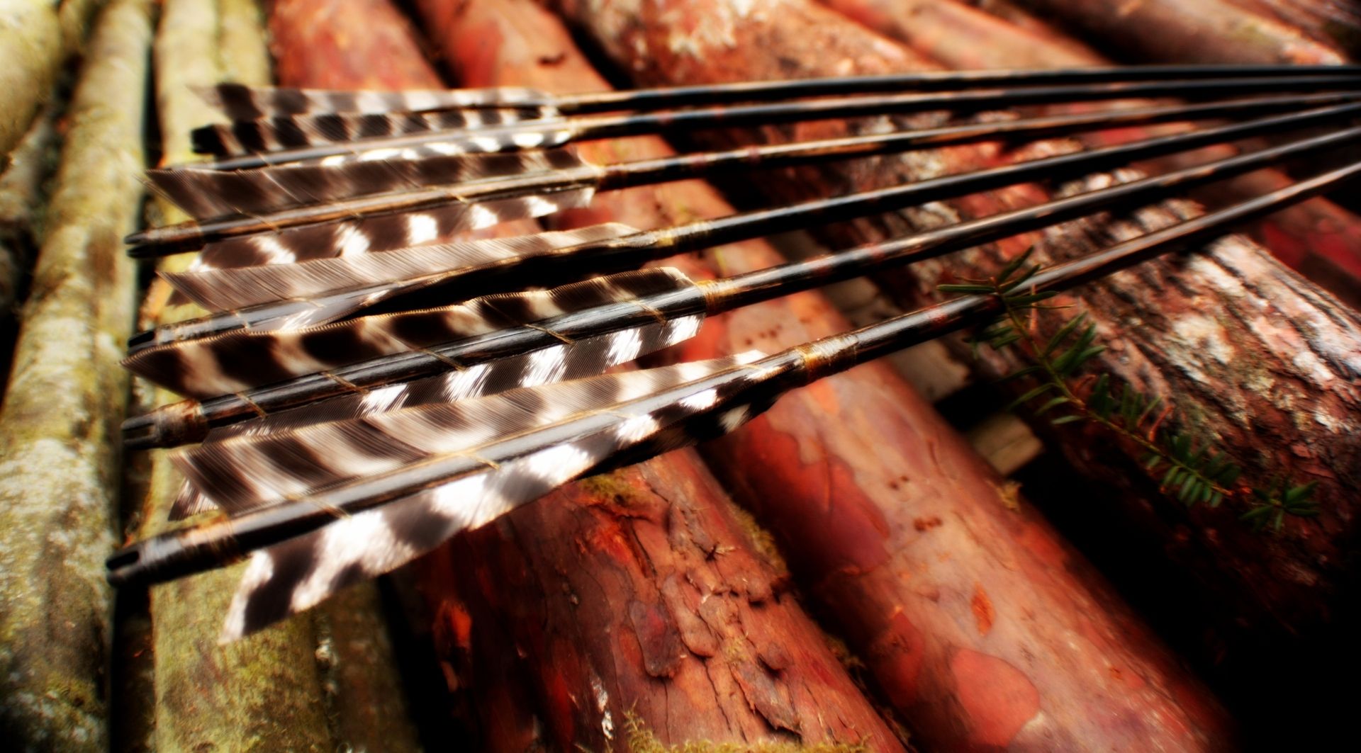 Custom Native American Arrows by Echo Archery | CustomMade.com