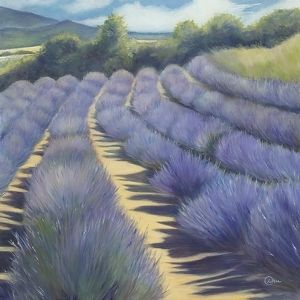 Custom Made Provence Lavender (Southern France) - Fine Art Note Card Set Of Five (4.25