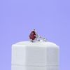 Ashley's Engagement Ring 2
