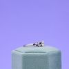Perry's Engagement Ring 2