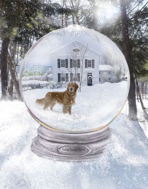 Custom Made Snow Globe Artwork Custom Portrait Painting Of Pet, Home Or Family