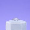 Natalie's Engagement Ring 2
