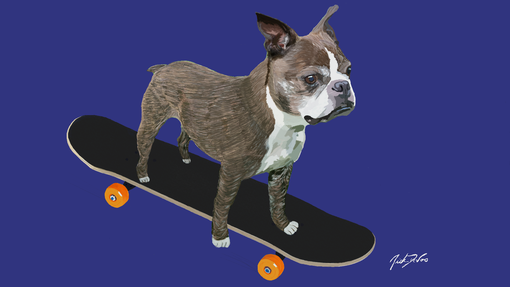 Custom Made Pets On Skateboards Digital Art
