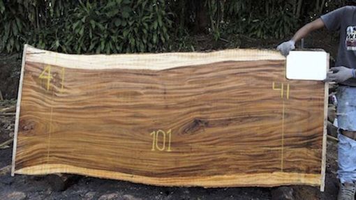 Custom Made Slab, Parota Wood