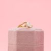 William's Engagement Ring 3