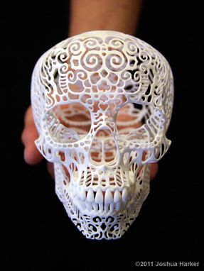 Custom Made "Crania Anatomica Filigre" Skull