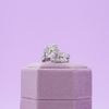 Tiff's Engagement Ring 3