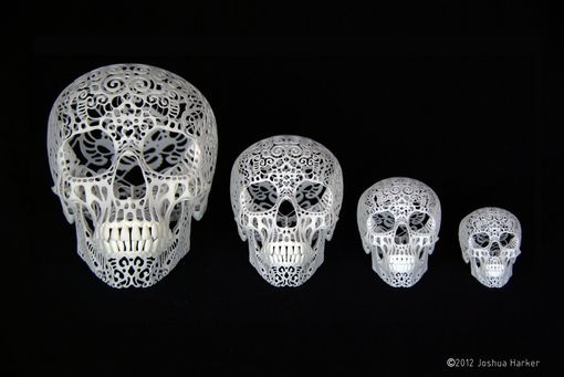 Custom Made "Crania Anatomica Filigre" Skull