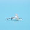 Denny's Engagement Ring 1