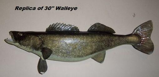 Custom Made Handdcarved And Handpainted Replica Of 30" Walleye