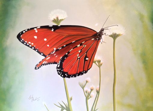 Custom Made Monarch Butterfly Mural On Stretched Canvas