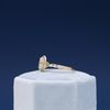 Ian's Engagement Ring 5